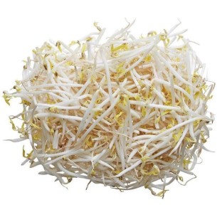 绿豆芽 4kg BROTES DE JUDIA 4kg  LOTE  101024